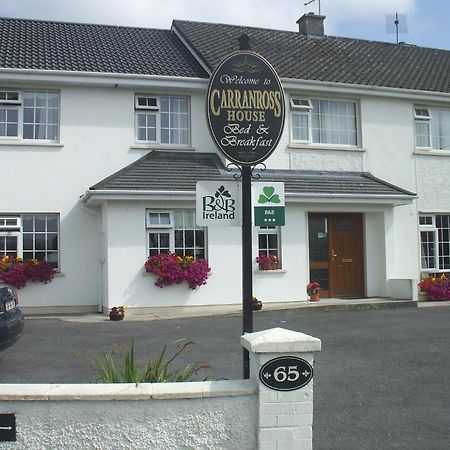 Carranross Accommodation Killarney Luaran gambar