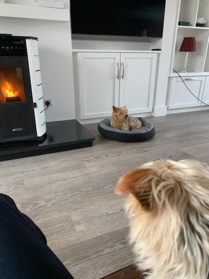 Carranross Accommodation Killarney Luaran gambar